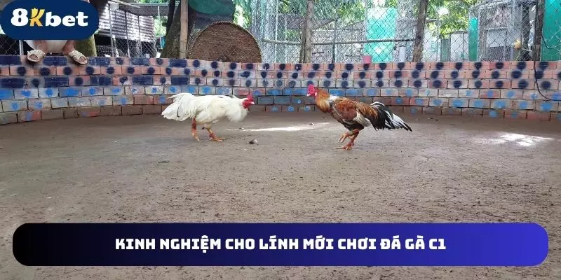 Những chiến thuật hay cho kê thủ mới chơi