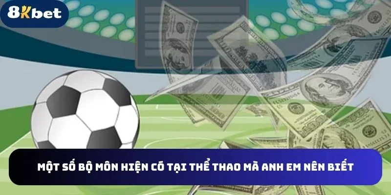 Những bộ môn hiện có